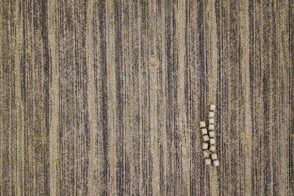 Baranovszky Photo 19